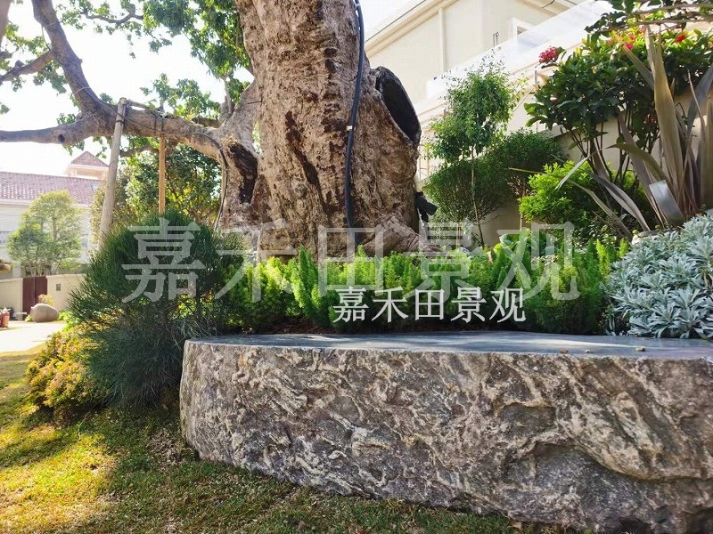 樹木在園林景觀設(shè)計(jì)中有哪些作用？