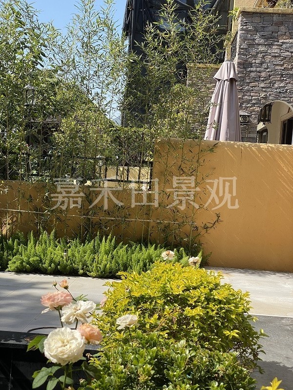 別墅花園的養(yǎng)護(hù)技巧包括哪些方面？